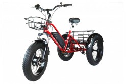 Триколісний електровелосипед VELOMOTOR СARGO 500W з кошиком Триколісний електровелосипед VELOMOTOR СARGO 500W з кошиком