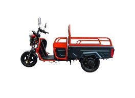 Вантажний електричний трицикл FORTE GP-1000-C Чорний