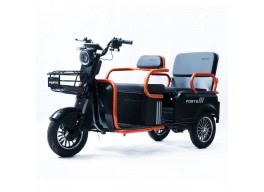 Електротрайк FORTE CARGO-P800 